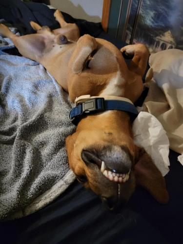 23:41:29 GMT-0500 (CDT)