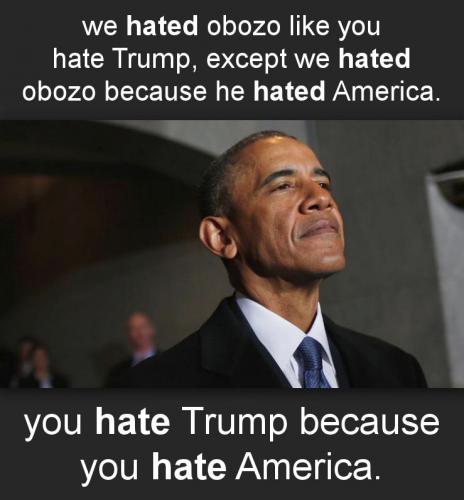 ztrump265