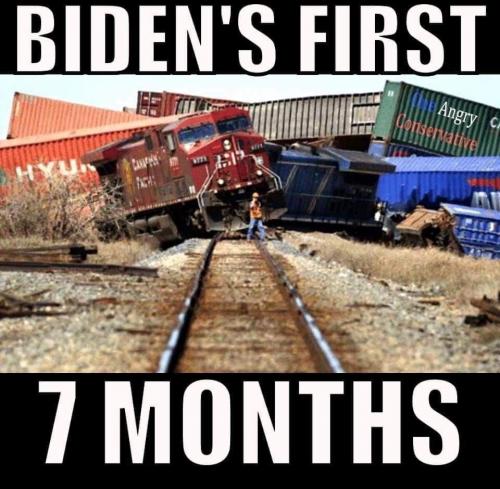 bidens 1st 7
