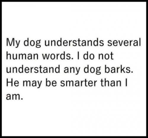 tumblr_5f63d64963e81664b974a2cd07e53f9f_76a4426e_540