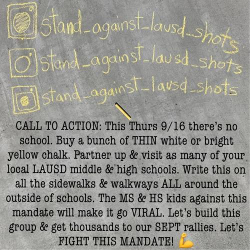 LAUSD Chalk Campaign