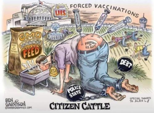 Citizen Cattle