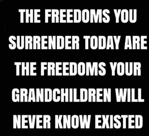 Screenshot_20210912-223838-225