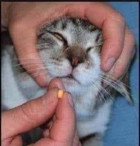 FB_IMG_1630981365950