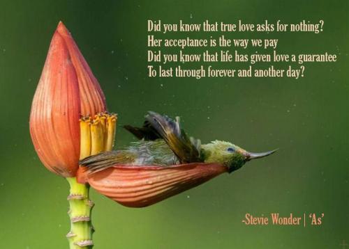 photo_2021-09-15_11-10-24