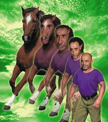 photo_2021-09-04_20-43-03