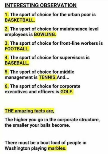 241119569_1697586743782606_4101801317352542715_n