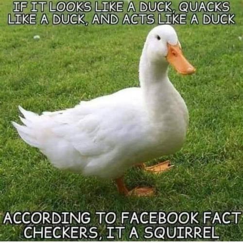 11:14:25 GMT-0500 (CDT)