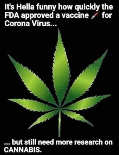 FB_IMG_1629908070797