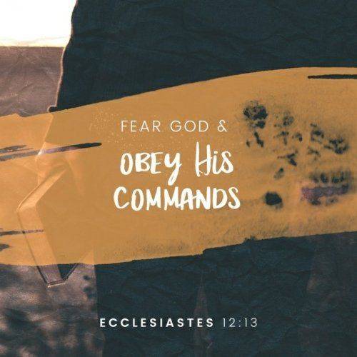 08:24:39 GMT-0400 (EDT)