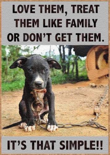 DOGS R FAMILY