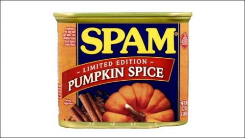 pumpkin spice15