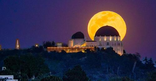 ,                                                                                                                                                                                                         0    a