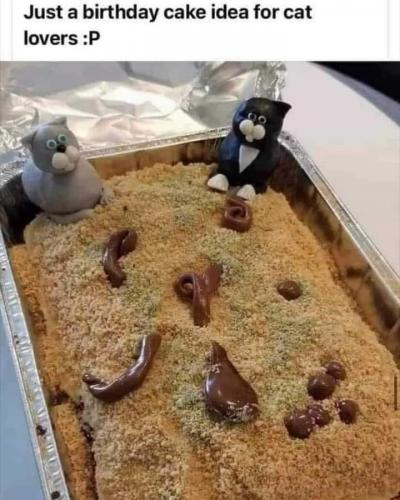 241535355_10161078367863219_8201739450481812514_n