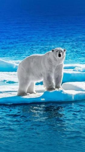 tumblr_c3db8925bf352fd23f36020952425d97_057dc100_640