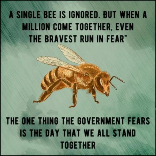 19:40:04 GMT-0700 (MST).image