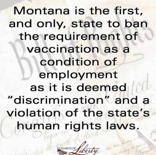 Montana - No Vax for  Job