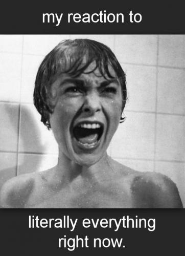 my reaction to literally everything right now