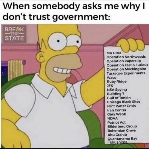 WHEN SOMEONE ASK WHY I DON'T THE GOVERNMENT