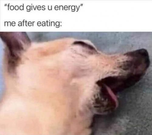 FB_IMG_1632130727006