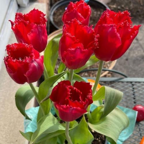 18:07:51 GMT+0100 (WAT)