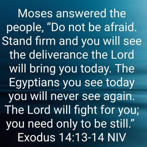 05:50:02 GMT-0500 (CDT)