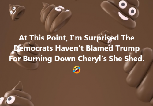 Trump - Cheryl's She Shed