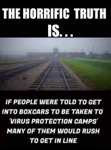 FB_IMG_1630632479411