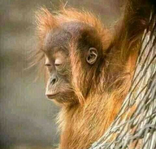 Screenshot_20210918-181349-030