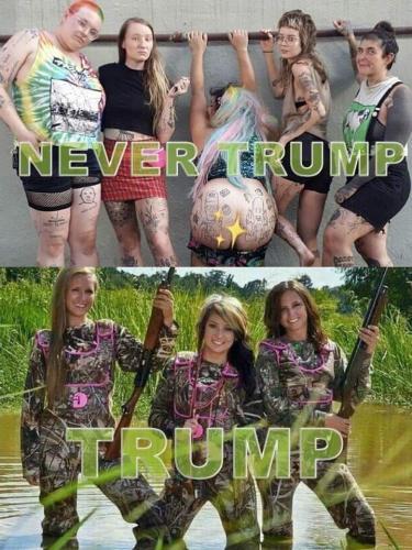 52369206_118104529284153_4756952098824781824_n