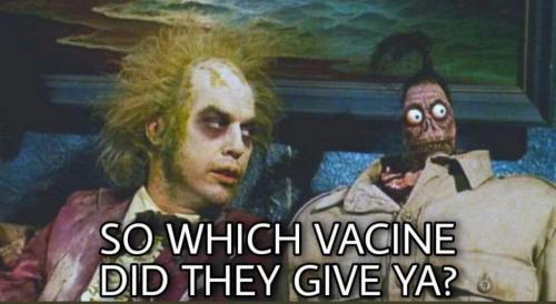 FB_IMG_1631304675405