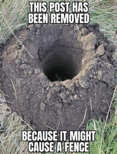 241400600_10159710153091941_552179664512708446_n