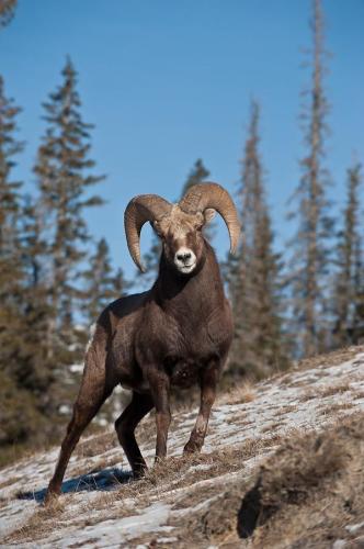 19:20:57 GMT-0500 (CDT)