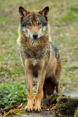 17:05:07 GMT-0500 (CDT)