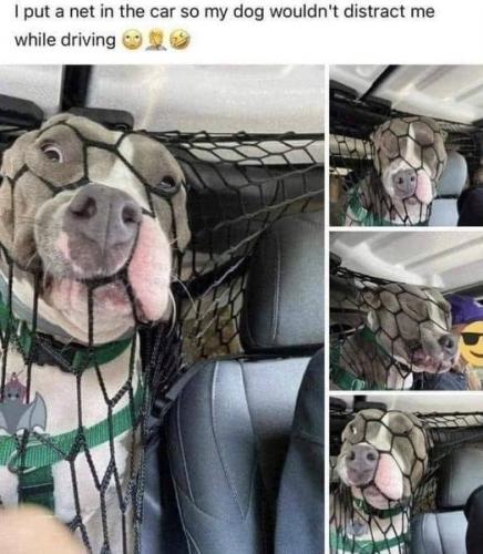 242027951_10158549955981242_1430555928785397465_n