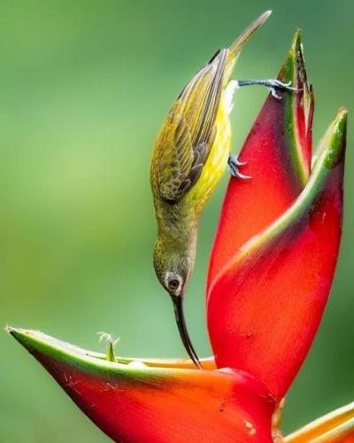 242808688_375876524076344_644587659645336160_n