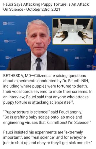 Fauci puppy torture news