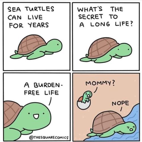 13:46:27 GMT-0400 (EDT)