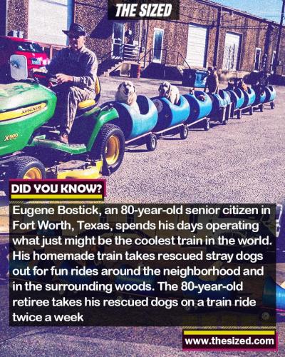 243863061_394679582098365_631471040588138403_n