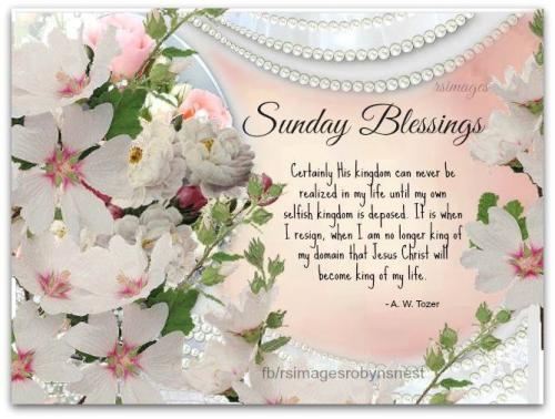 15181700_633209410184804_6601144390254444049_n