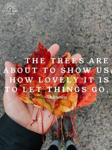 2021-09-30_13-41-45 Autumn Leaves