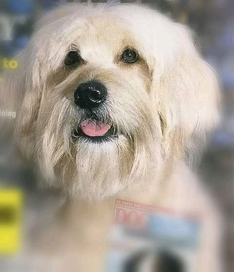 FB_IMG_16336621524142069