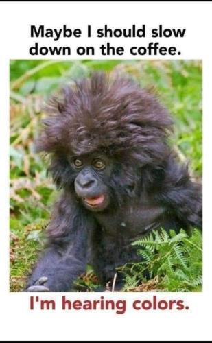 244099818_10219299428892968_1866831281699701021_n