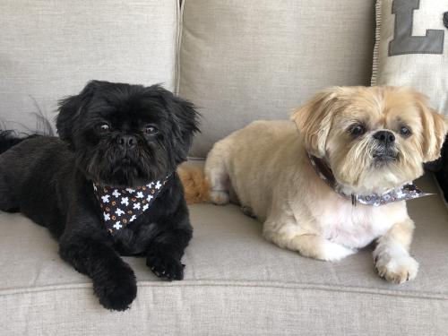 F82C95B0-4681-432A-81CE-77BCE46981E3