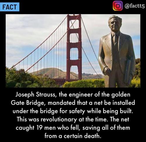 248804391_4546481762068424_8091491934128673532_n