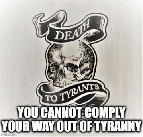 245708151_10221399711244314_4566315586456487448_n