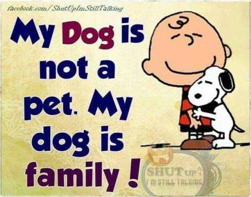 08:34:02 GMT-0500 (CDT)