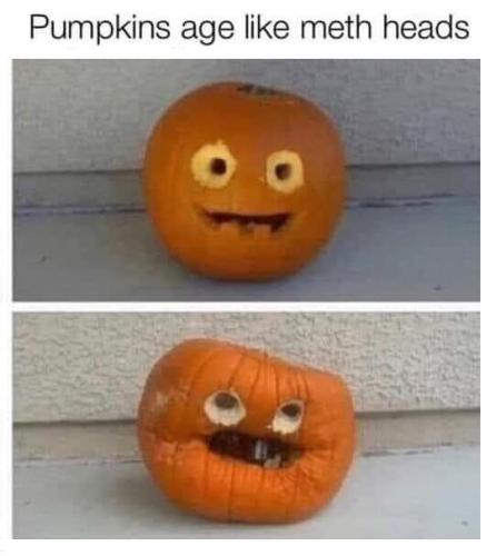 pumpkins_age