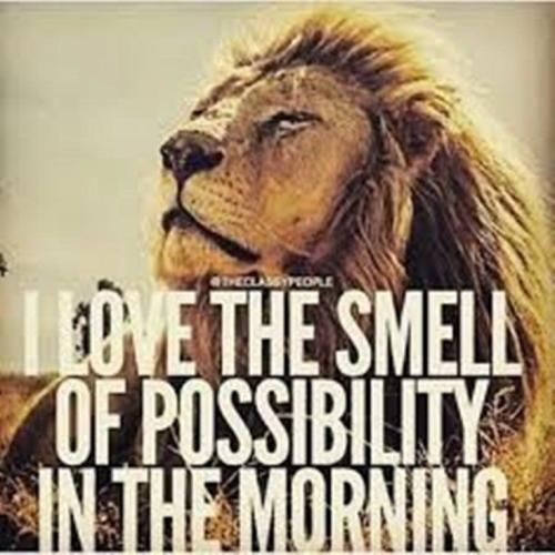 07:31:20 GMT-0500 (CDT)