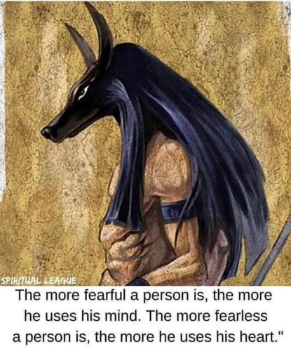 FB_IMG_1635612672714